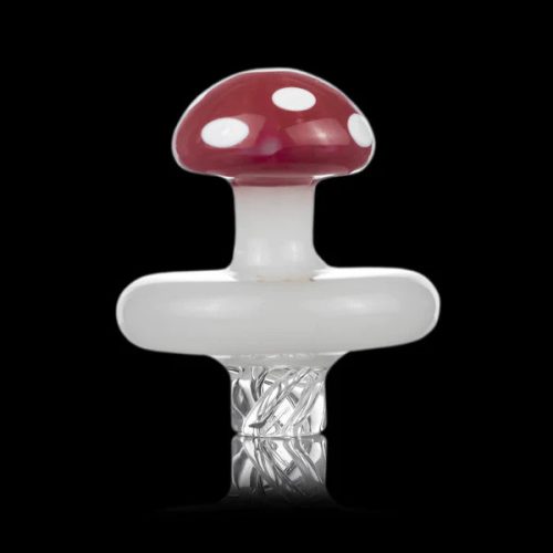 MushroomSpinner1 grande af9215f2 774a 46b9 bc37 48262964ce55